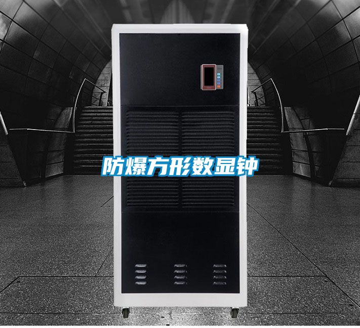 防爆方形数显钟