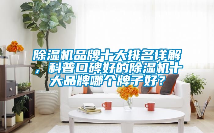 除湿机品牌十大排名详解，科普口碑好的除湿机十大品牌哪个牌子好？