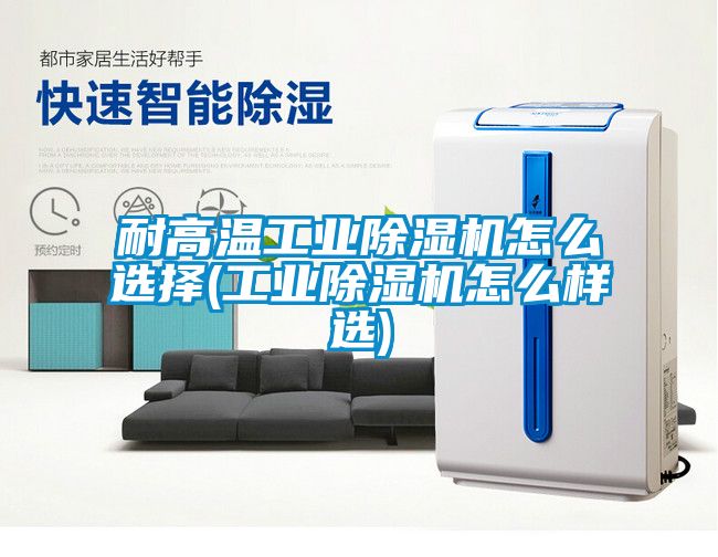 耐高温工业除湿机怎么选择(工业除湿机怎么样选)