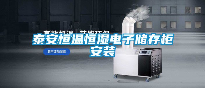 泰安恒温恒湿电子储存柜安装