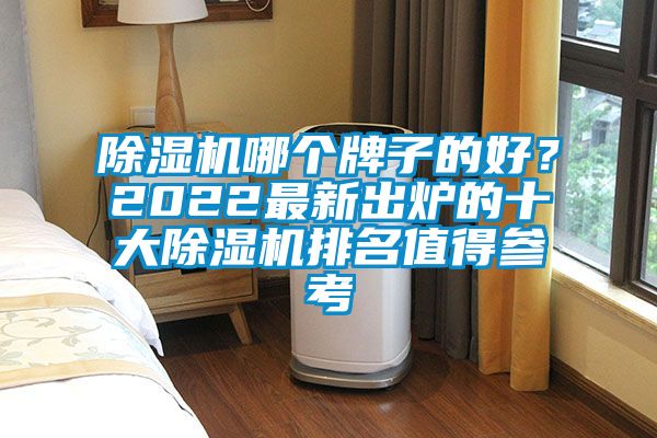 除湿机哪个牌子的好？2022最新出炉的十大除湿机排名值得参考