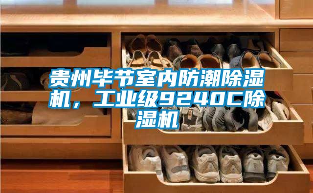 贵州毕节室内防潮除湿机，工业级9240C除湿机