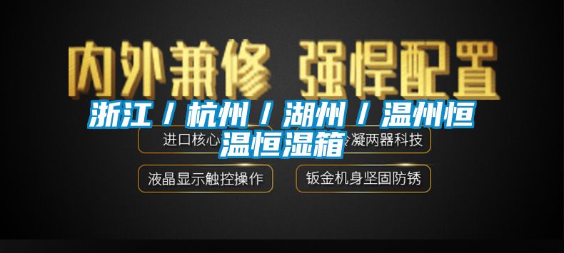 浙江/杭州/湖州/温州恒温恒湿箱