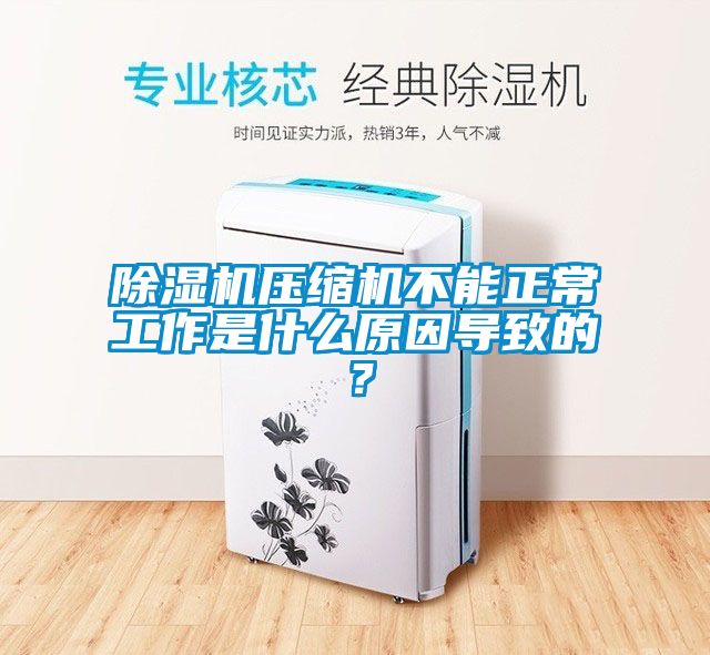 除湿机压缩机不能正常工作是什么原因导致的？