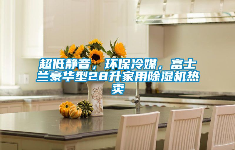 超低静音，环保冷媒，富士兰豪华型28升家用除湿机热卖