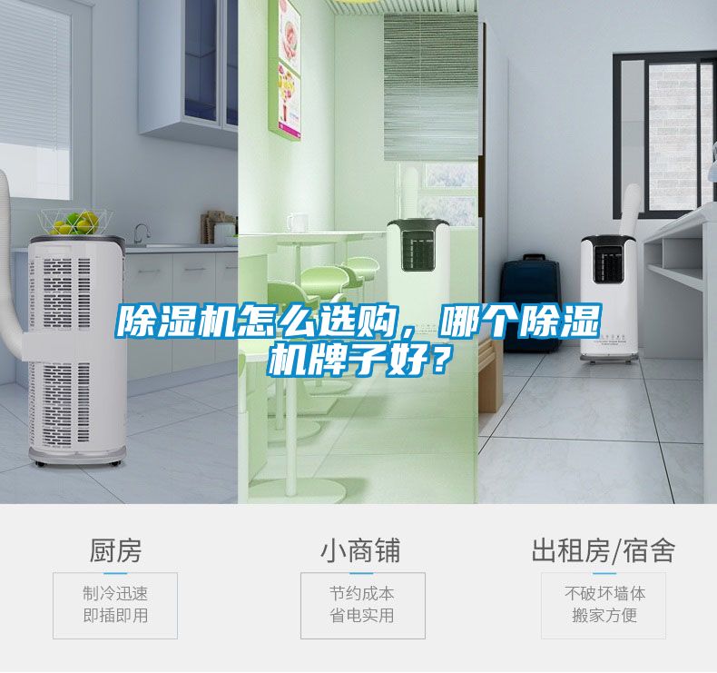 除湿机怎么选购，哪个除湿机牌子好？