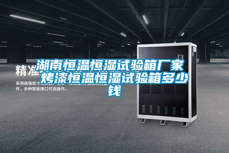 湖南恒温恒湿试验箱厂家 烤漆恒温恒湿试验箱多少钱