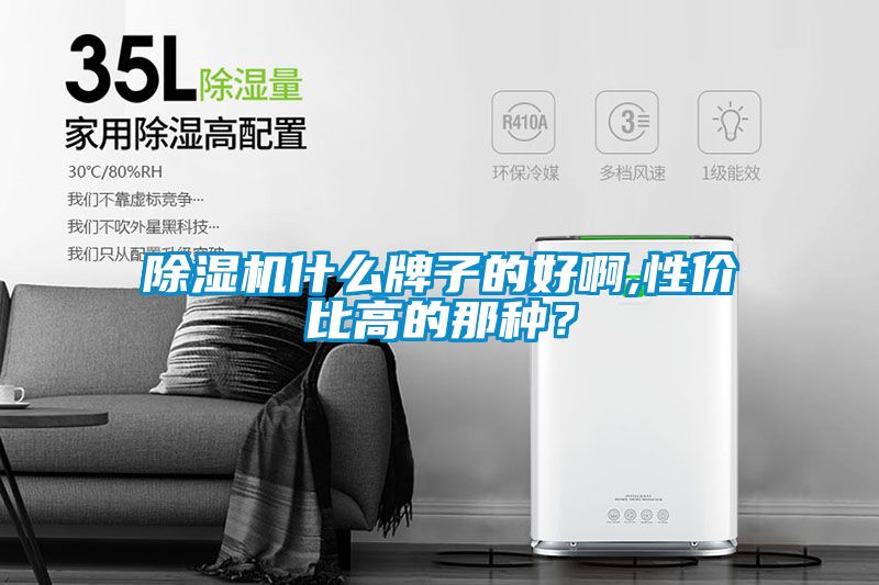 除湿机什么牌子的好啊,性价比高的那种？