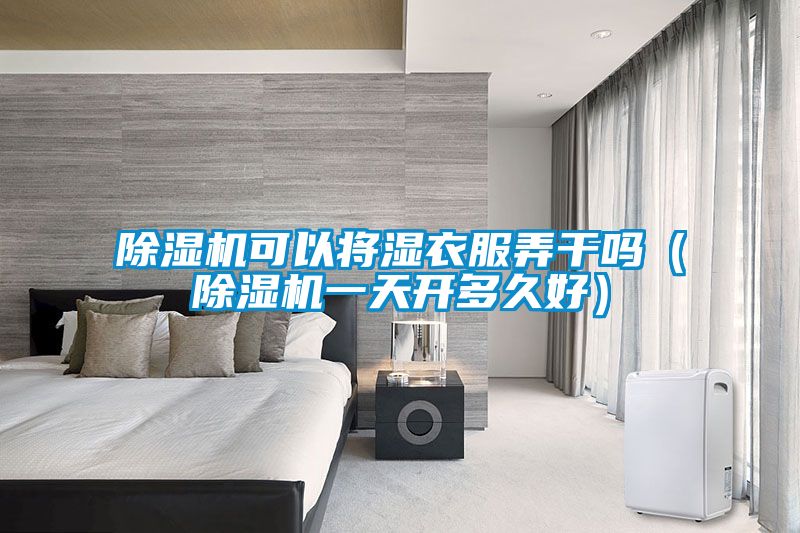 除湿机可以将湿衣服弄干吗(除湿机一天开多久好)
