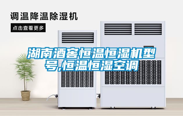 湖南酒窖恒温恒湿机型号,恒温恒湿空调