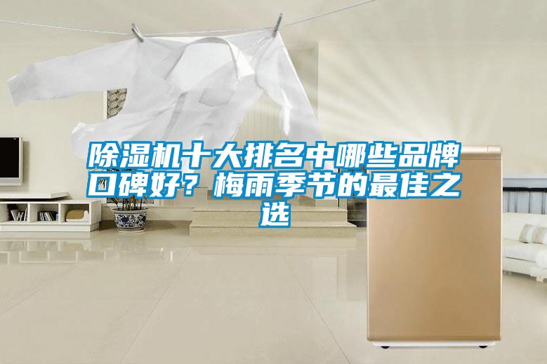 除湿机十大排名中哪些品牌口碑好？梅雨季节的最佳之选