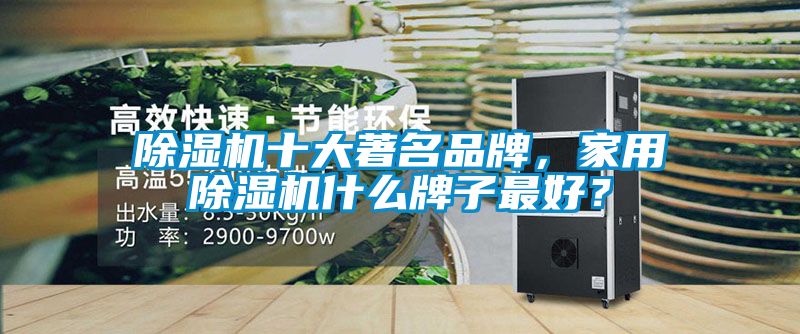 除湿机十大著名品牌，家用除湿机什么牌子最好？