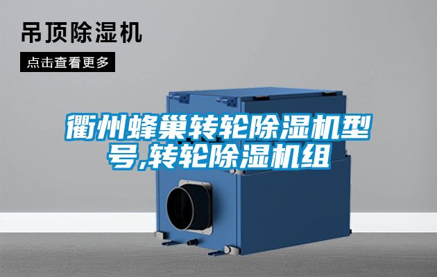 衢州蜂巢转轮除湿机型号,转轮除湿机组