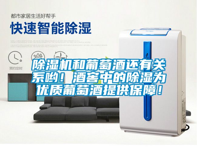 除湿机和葡萄酒还有关系哟！酒窖中的除湿为优质葡萄酒提供保障！