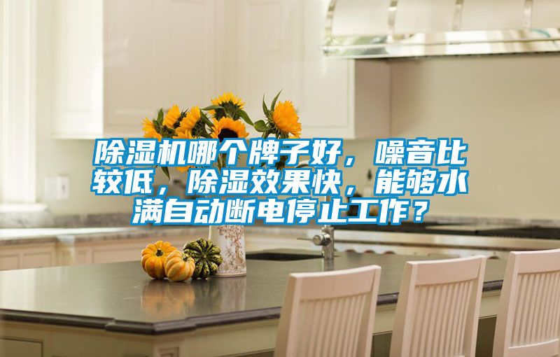 除湿机哪个牌子好，噪音比较低，除湿效果快，能够水满自动断电停止工作？