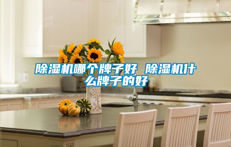 除湿机哪个牌子好 除湿机什么牌子的好