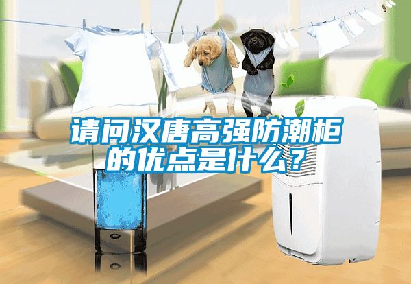 请问汉唐高强防潮柜的优点是什么？