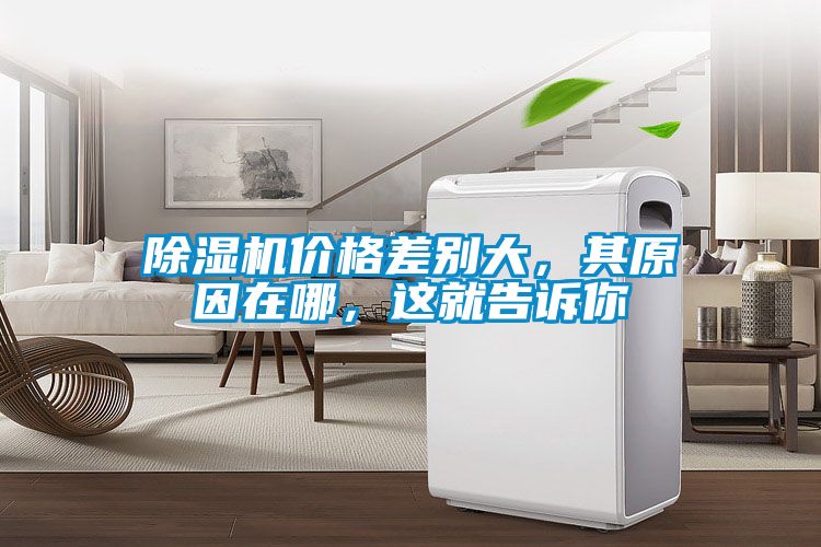 除湿机价格差别大，其原因在哪，这就告诉你