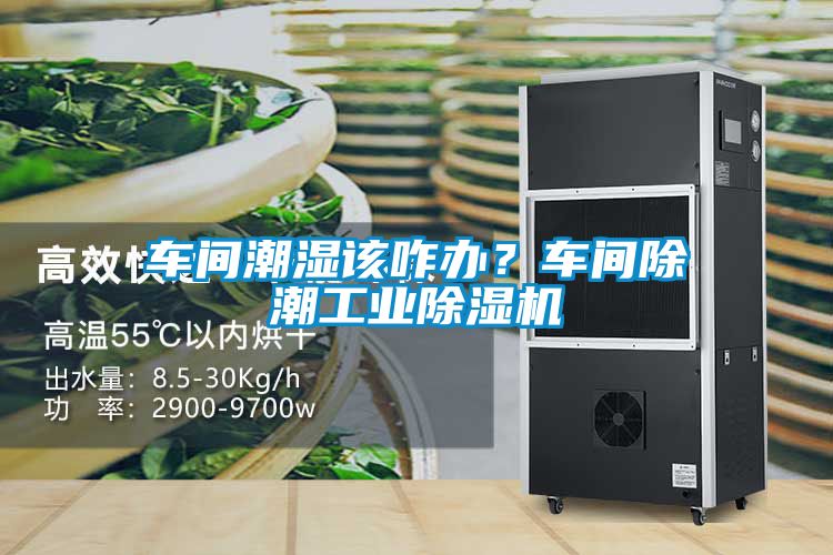 车间潮湿该咋办？车间除潮工业除湿机
