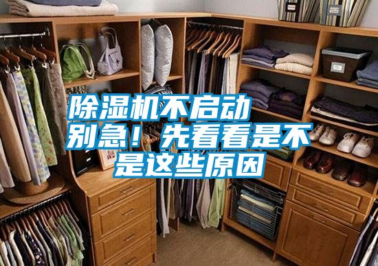 除湿机不启动   别急！先看看是不是这些原因