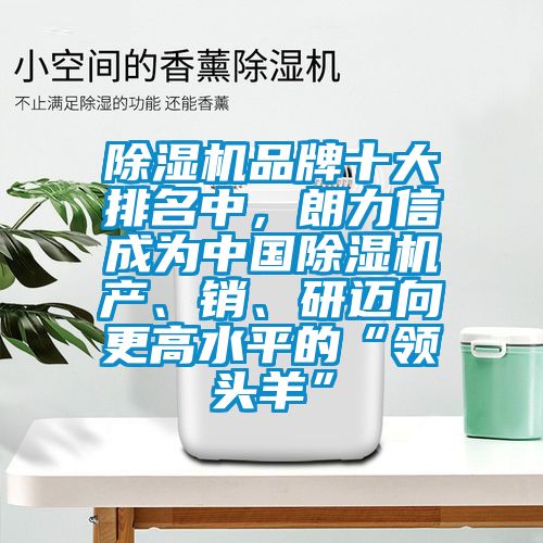 除湿机品牌十大排名中，朗力信成为中国除湿机产、销、研迈向更高水平的“领头羊”