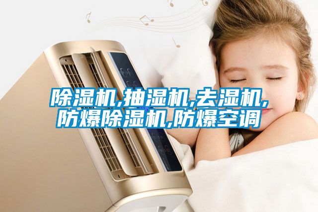 除湿机,抽湿机,去湿机,防爆除湿机,防爆空调
