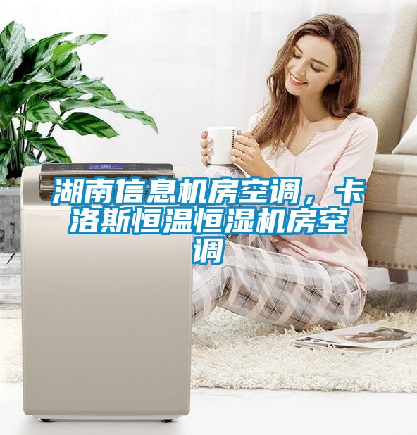 湖南信息机房空调，卡洛斯恒温恒湿机房空调