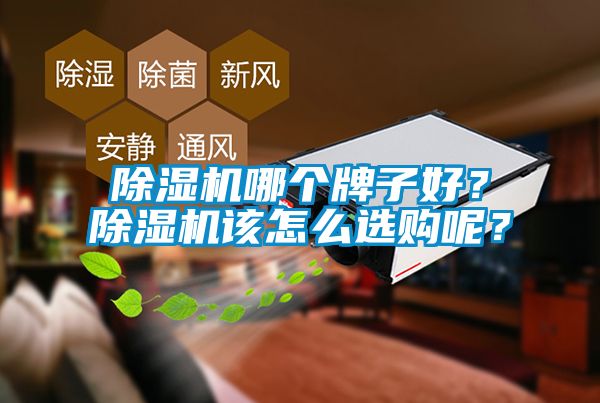 除湿机哪个牌子好？除湿机该怎么选购呢？
