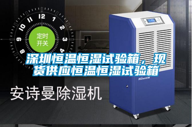 深圳恒温恒湿试验箱，现货供应恒温恒湿试验箱