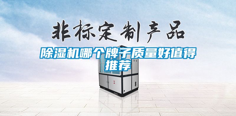 除湿机哪个牌子质量好值得推荐