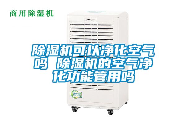 除湿机可以净化空气吗 除湿机的空气净化功能管用吗