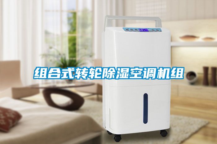 组合式转轮除湿空调机组