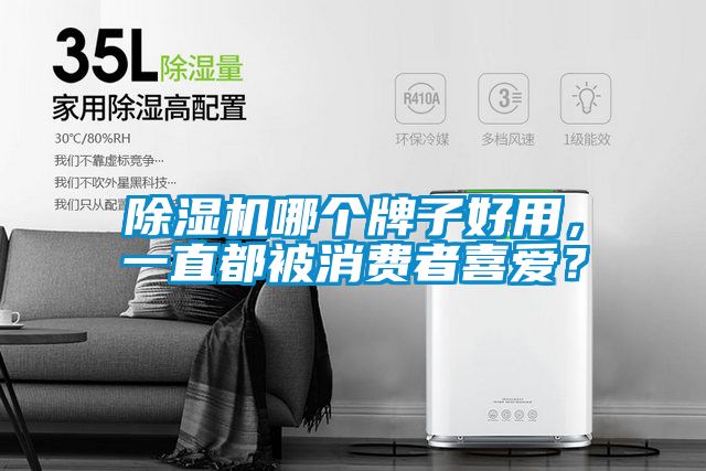 除湿机哪个牌子好用，一直都被消费者喜爱？