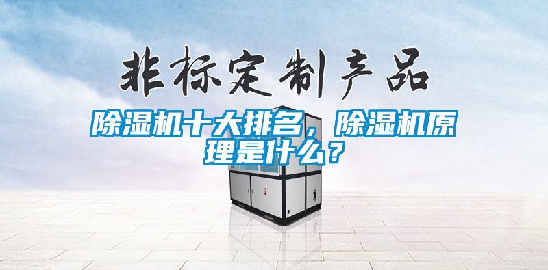 除湿机十大排名，除湿机原理是什么？