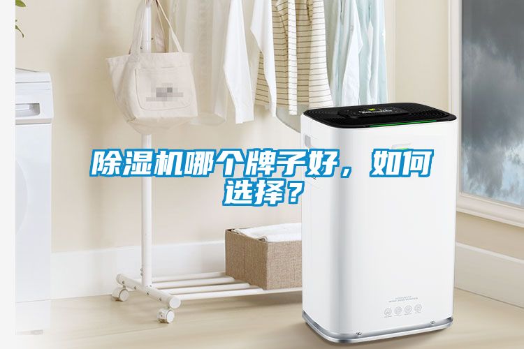 除湿机哪个牌子好，如何选择？