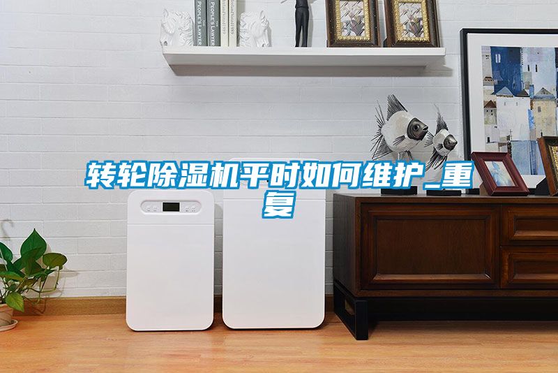 转轮除湿机平时如何维护_重复