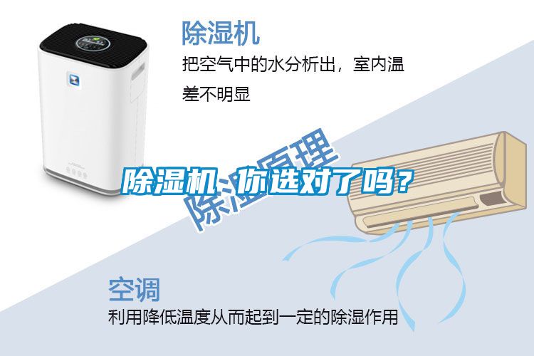 除湿机 你选对了吗？