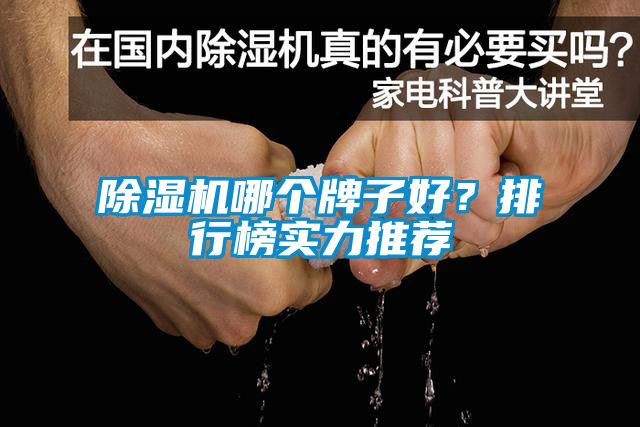 除湿机哪个牌子好？排行榜实力推荐