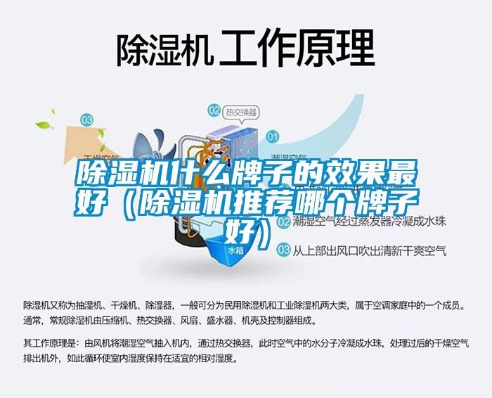 除湿机什么牌子的效果最好（除湿机推荐哪个牌子好）