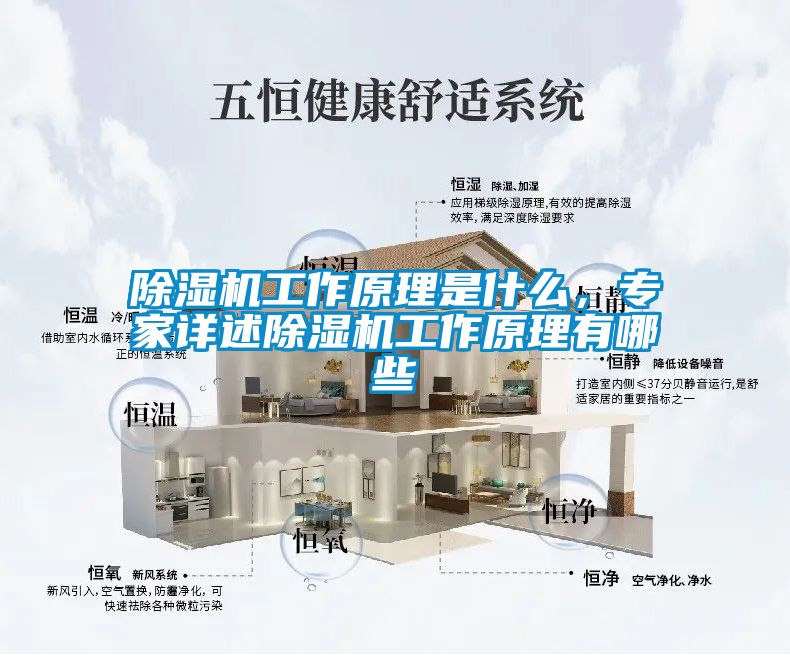 除湿机工作原理是什么，专家详述除湿机工作原理有哪些