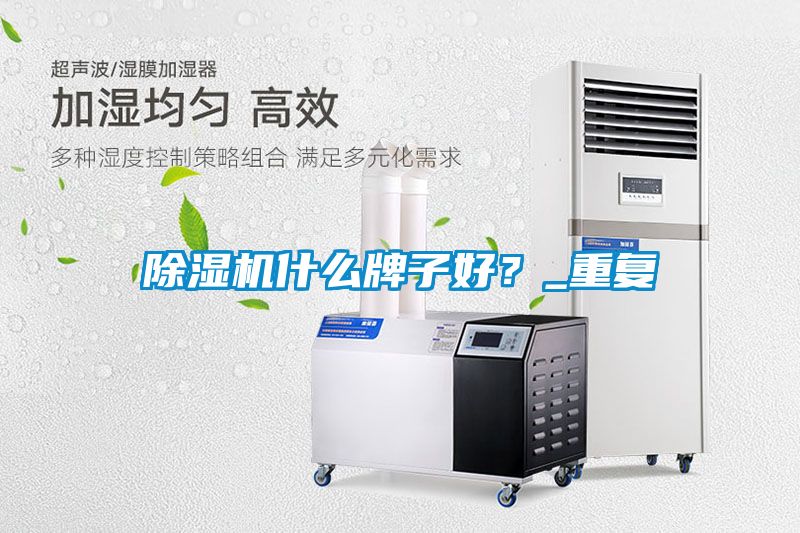 除湿机什么牌子好？_重复