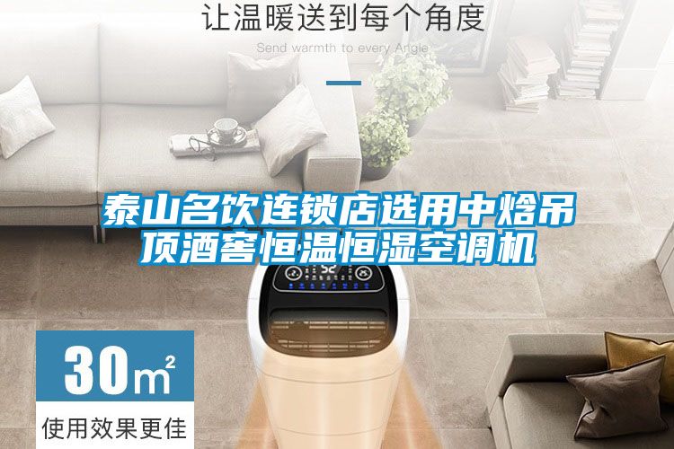泰山名饮连锁店选用中焓吊顶酒窖恒温恒湿空调机