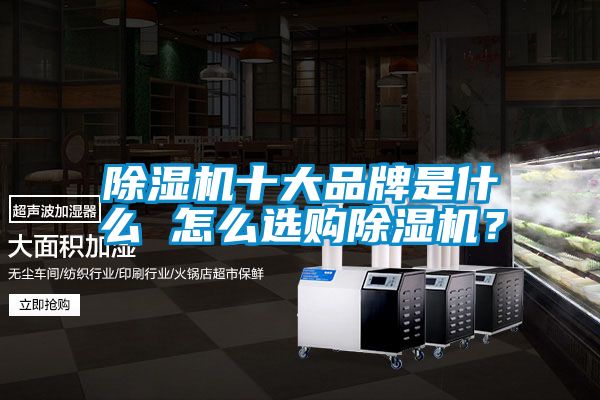 除湿机十大品牌是什么 怎么选购除湿机？