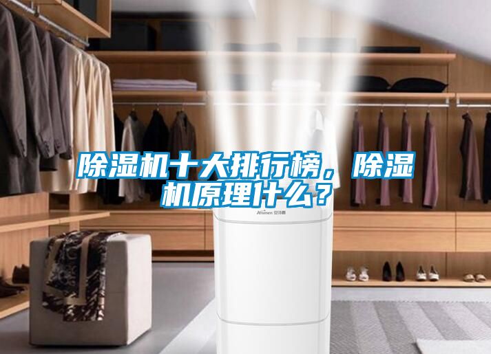 除湿机十大排行榜，除湿机原理什么？