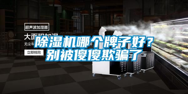 除湿机哪个牌子好？别被傻傻欺骗了