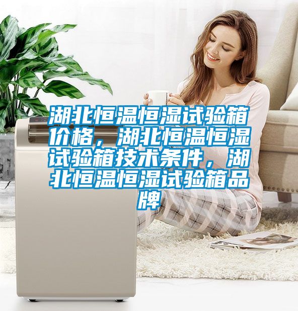 湖北恒温恒湿试验箱价格，湖北恒温恒湿试验箱技术条件，湖北恒温恒湿试验箱品牌