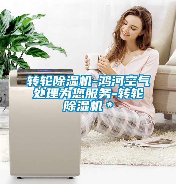 转轮除湿机-鸿河空气处理为您服务-转轮除湿机＊
