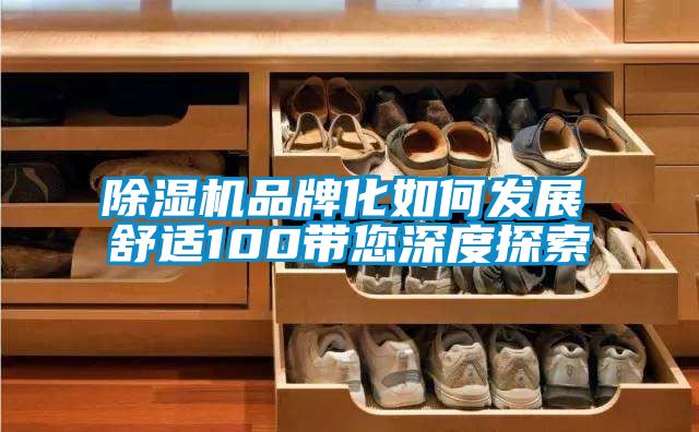 除湿机品牌化如何发展  舒适100带您深度探索