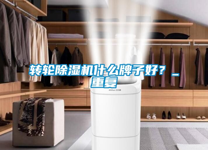 转轮除湿机什么牌子好？_重复