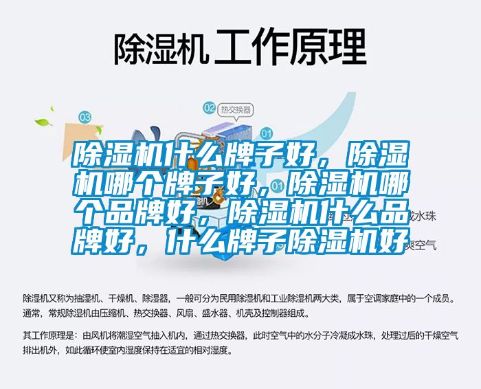 除湿机什么牌子好，除湿机哪个牌子好，除湿机哪个品牌好，除湿机什么品牌好，什么牌子除湿机好